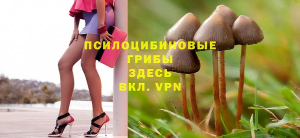эйфоретик Верхний Тагил