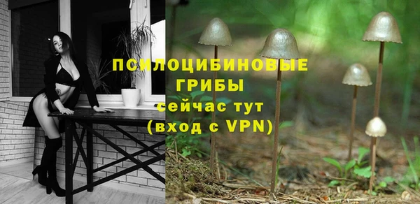 мяу мяу кристалл Верея